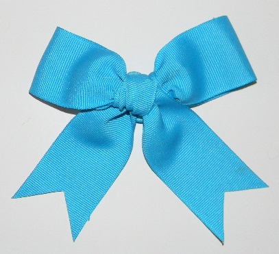 Bow-Blue-1-Plain-Bin33