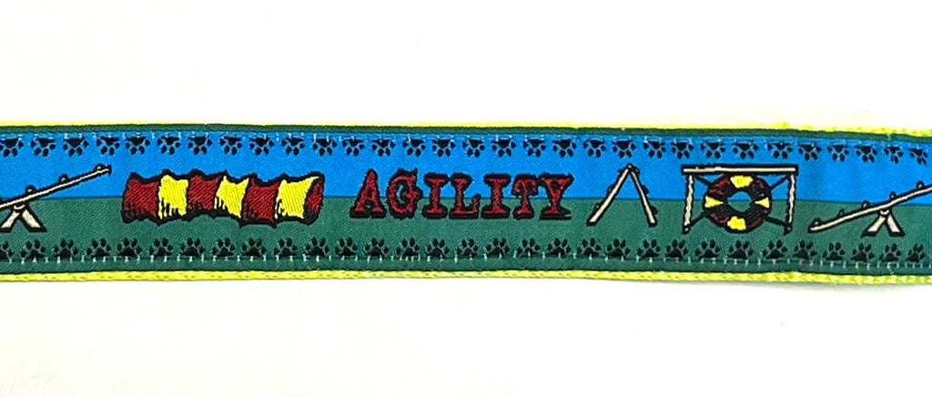 Agility Fun Dog Leash 1in