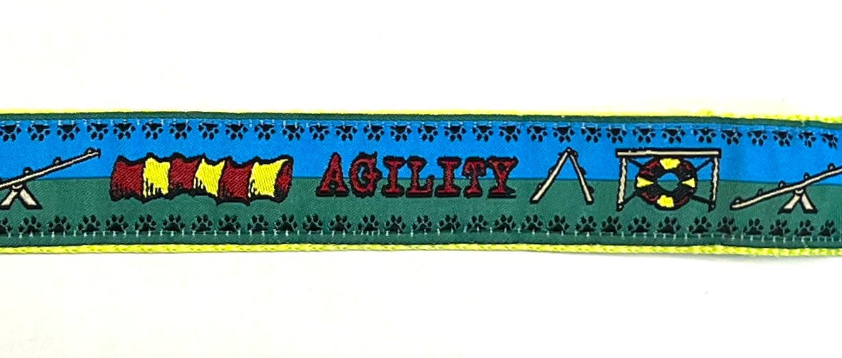 Agility Fun Dog Leash 1in
