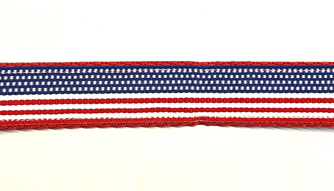 American Flag Dog Leash 1in