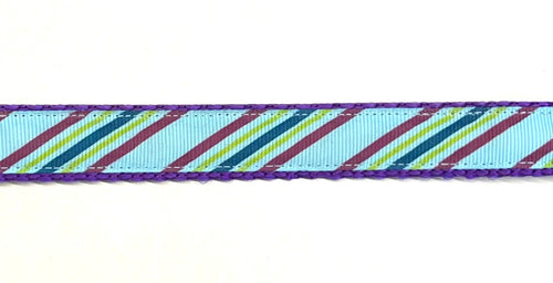 Aqua, purple, green, teal diagonal stripe dog collar on purple webbing