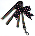 Black, Green, Orange, Teal, Pink, and White Stripes Dog Leash 1/2