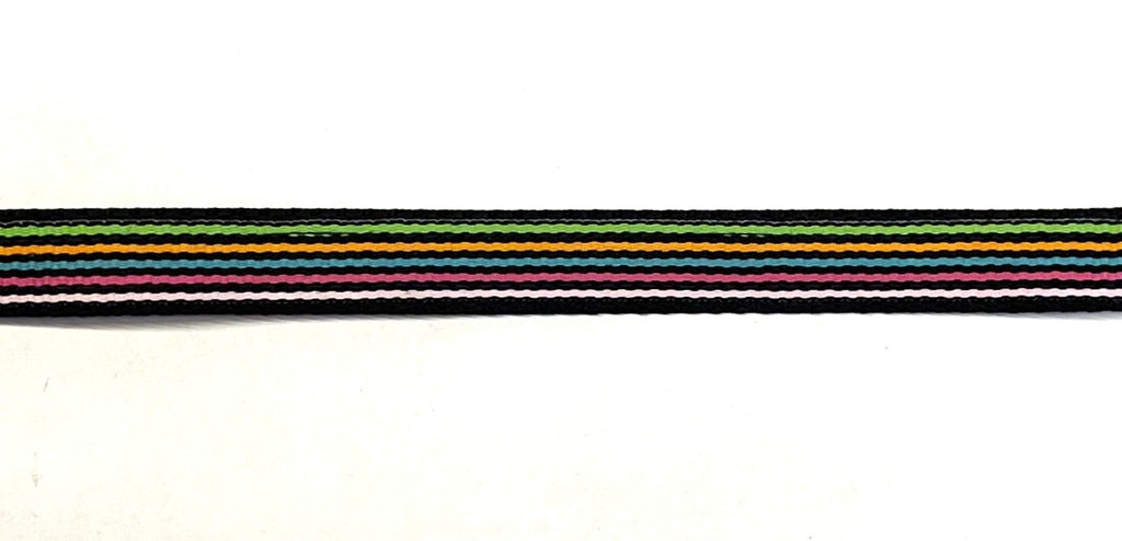 Black webbing dog collar with green, orange, teal, pink, and white stripes