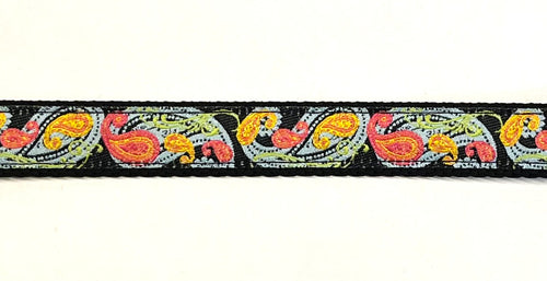Black with Blue, Green, Pink, and Orange Paisley Design Dog Collar 3/4 inch on black webbing