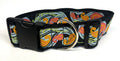 Black with Blue, Green, Pink, and Orange Paisley Design Dog Collar 2in