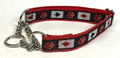Black with Cards and Dice Chain Martingale Collar 1in