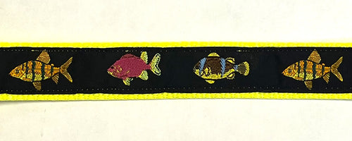 Black with Fish Chain Martingale Collar 1in