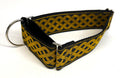 Black with Gold Celtic Weave Martingale Collar 2in
