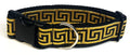 Black with Gold Greek Key Dog Collar 1 1/2 in