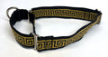 Black with Gold Egyptian Squares Martingale Collar 1in