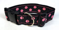 Black with Pink Dots Dog Collar 2in