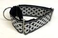 Black with Silver Celtic Weave Martingale Collar 2in