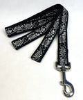 Black with Silver Dinosaur Bones Dog Leash 1in