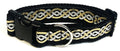 Black with Silver and Gold Celtic Weave Dog Collar 1 1/2 in