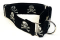Black with Silver Skull and Crossbones Martingale Collar 1 1/2 in