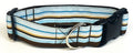 Blue, Light Blue, Brown, and White Stripe Dog Collar 1 1/2 in