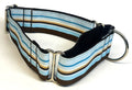 Blue, Light Blue, Brown, and White Stripe Martingale Collar 1 1/2 in