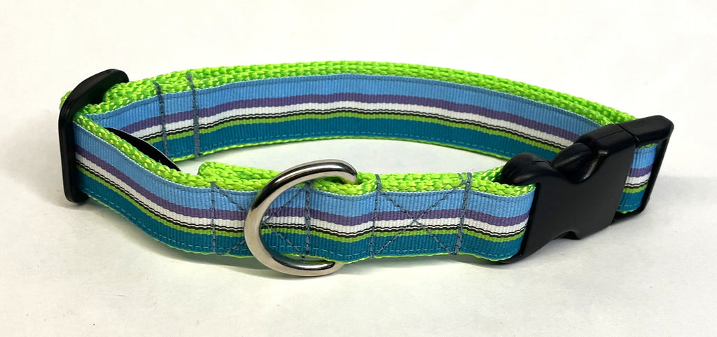 Blue, Purple, White, Black, Green, Teal Stripe Dog Collar 1in