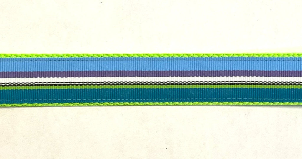 Blue, Purple, White, Black, Green, Teal Stripe Dog Leash 1in