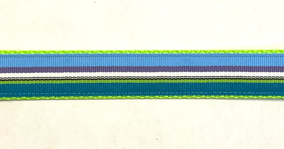 Blue, Purple, White, Black, Green, Teal Stripe Dog Leash 1in
