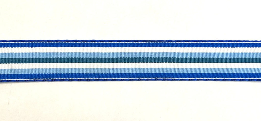 Blue, White, Light Blue, and Teal Stripe Dog Leash 1in