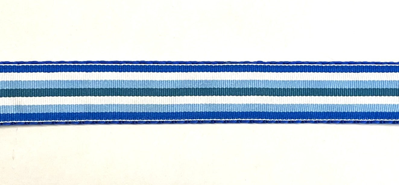 Blue, White, Light Blue, and Teal Stripe Dog Leash 1in