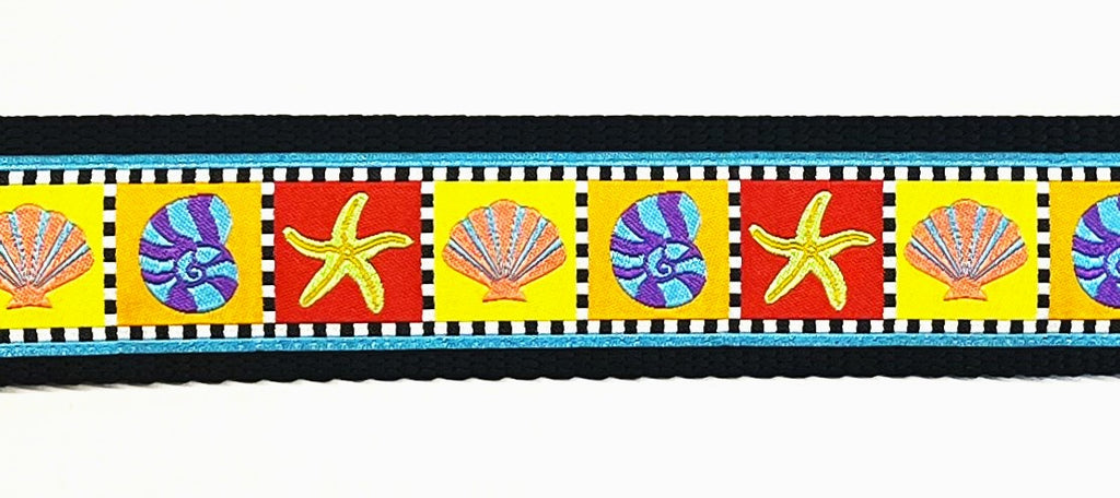 Blue checkered border with starfish and shells dog collar 1 1/2 in