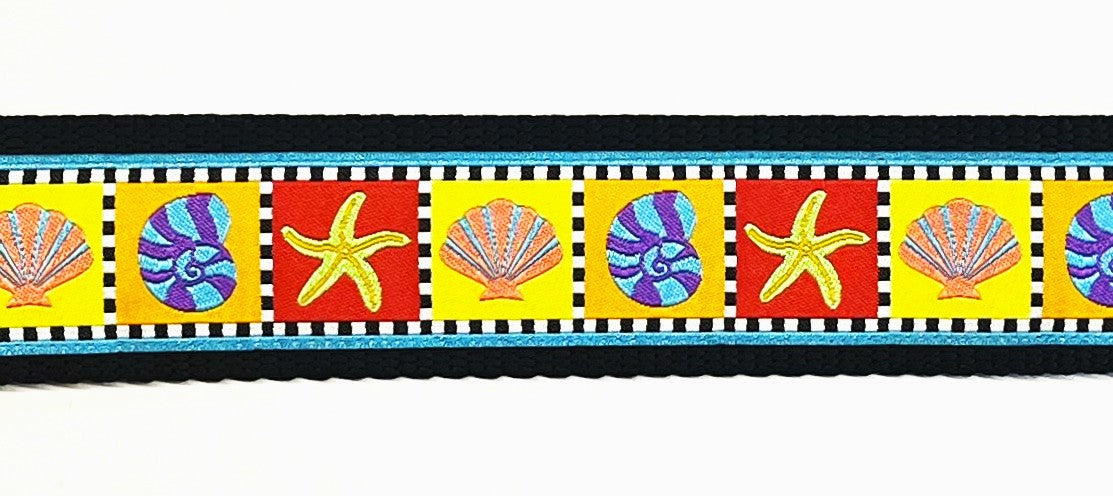 Blue checkered border with starfish and shells dog collar 1 1/2 in