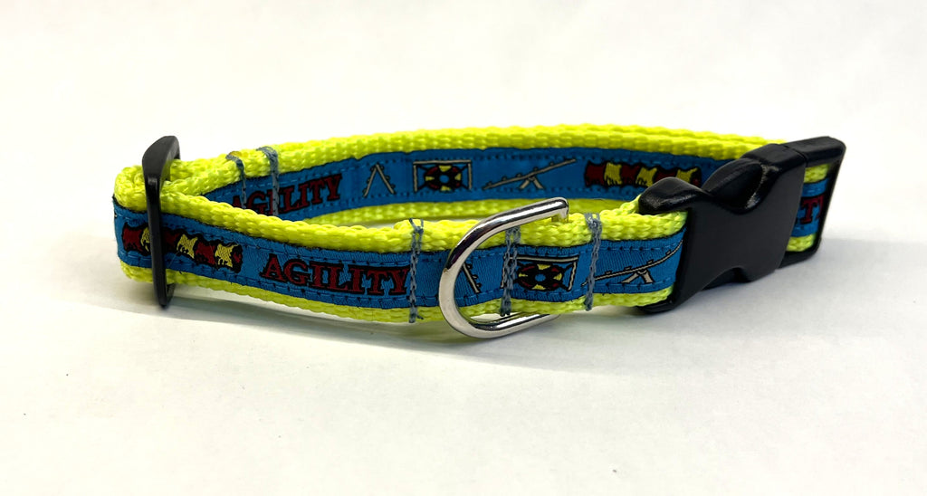Blue with Agility Dog Collar 3/4