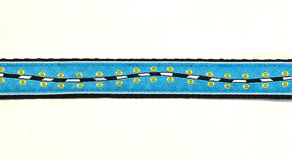 Turquoise with green dots and black white wavy stripe dog collar 3/4 inch on black webbing