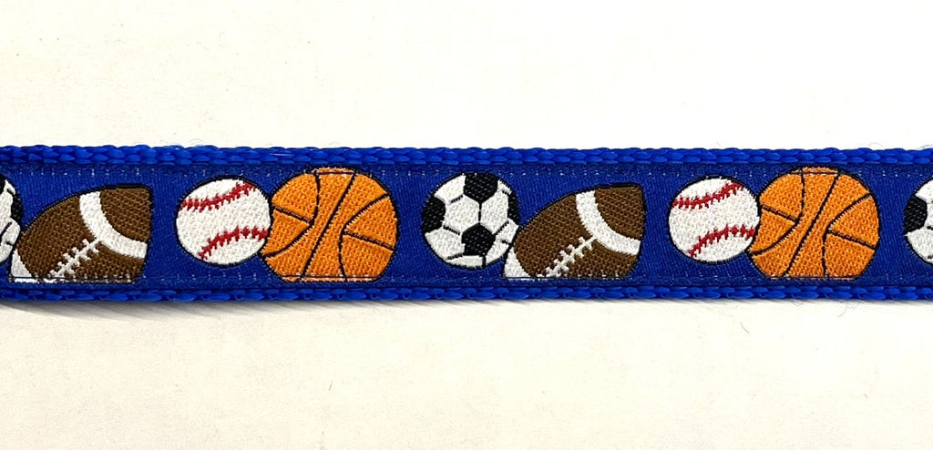 Blue with Sports Martingale Collar 1in