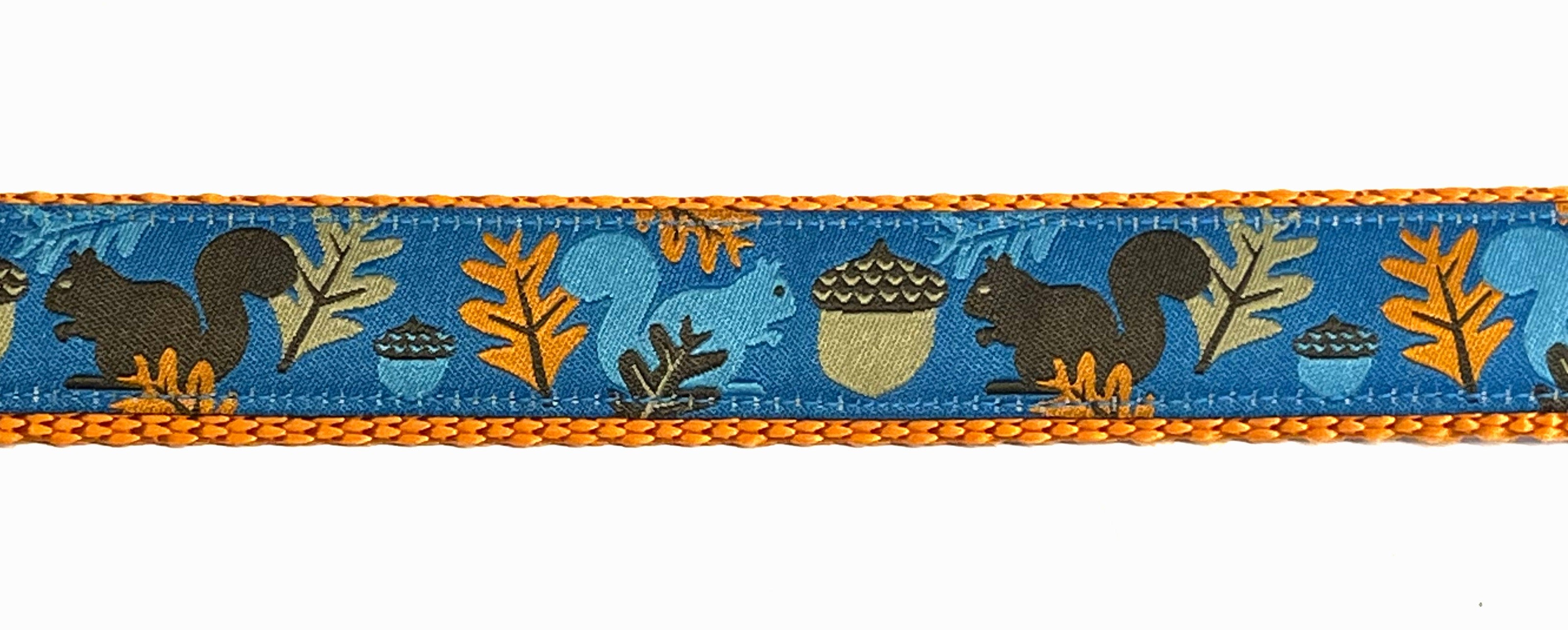 Blue with Squirrels, Acorns, and Leaves Chain Martingale Collar 1in