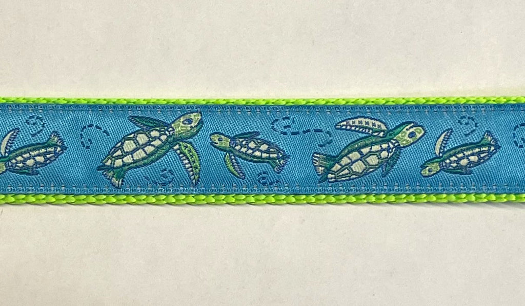 Blue with Turtles Dog Collar 1in