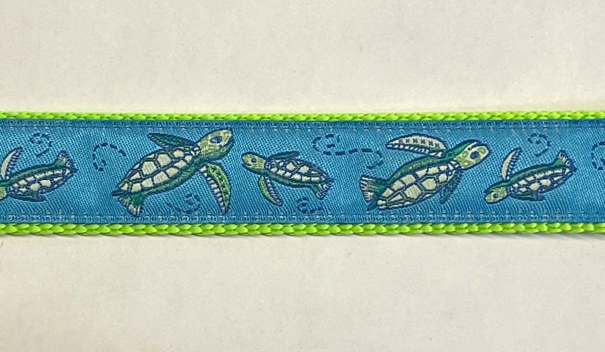 Blue with Turtles Dog Collar 1in