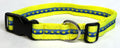 Blue and Light Blue with Yellow Dot Dog Collar 1in