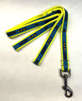 Blue with Agility Dog Leash 3/4