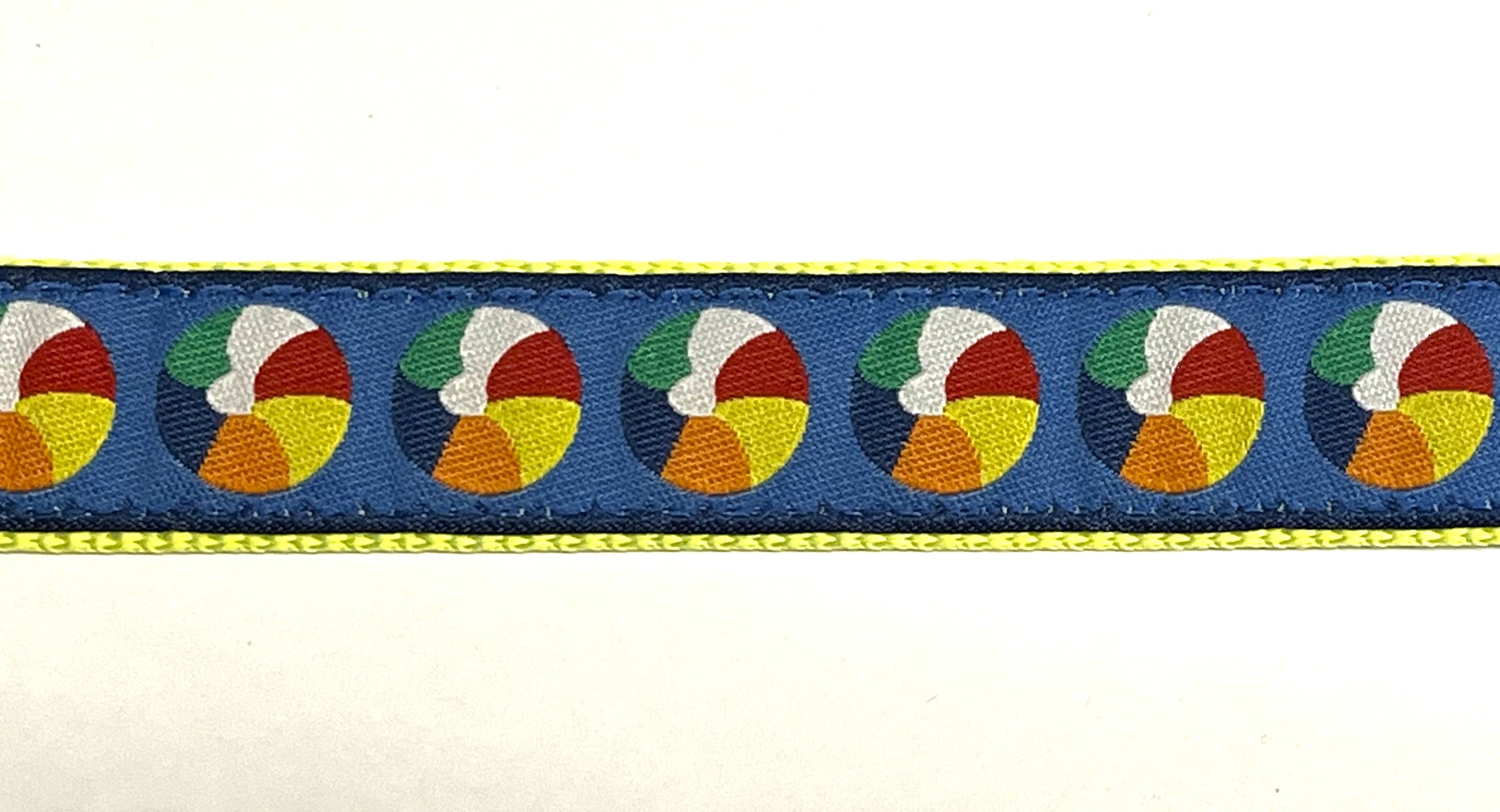 Blue with Beach Balls Dog Leash 1in