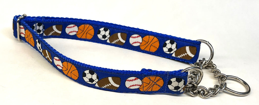 Blue with Sports Chain Martingale Collar 1in