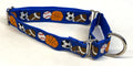 Blue with Sports Martingale Collar 1in