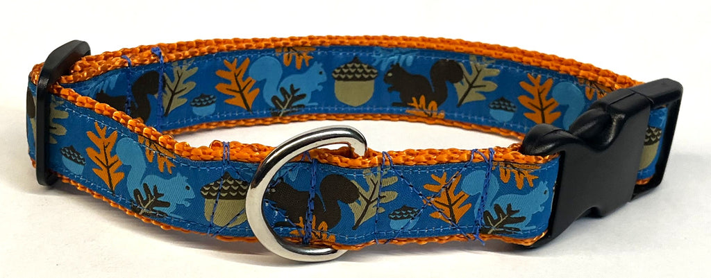Blue with Squirrels, Acorns, and Leaves Dog Collar 1in