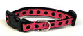 Bright Pink with Black Dots Dog Collar 1/2