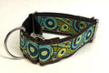 Brown, Blue, Green Swoosh with Dots Martingale Collar 2in