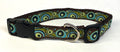 Brown Blue Green Swoosh with Dots Dog Collar 1in