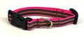 Brown, Blue, Green & Pink Stripe Dog Collar 1/2