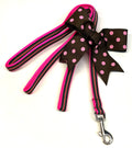 Brown, Blue, Green & Pink Stripe Dog Leash 1/2