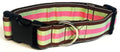 Brown, Seafoam Green, and Pink Stripe Dog Collar 1 1/2 in