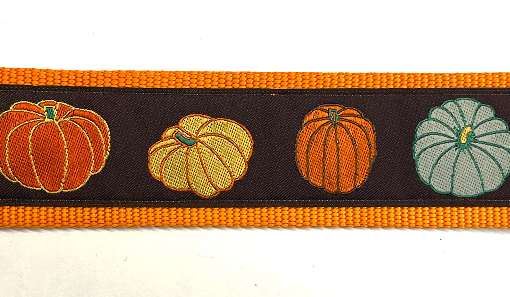Fall Pumpkin Print Dog Collar 2in