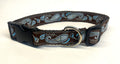 Brown with Blue Paisley Design Dog Collar 1in