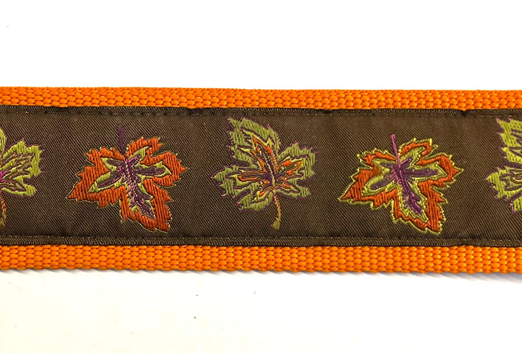 Brown with Fall Leaves Dog Collar 2in