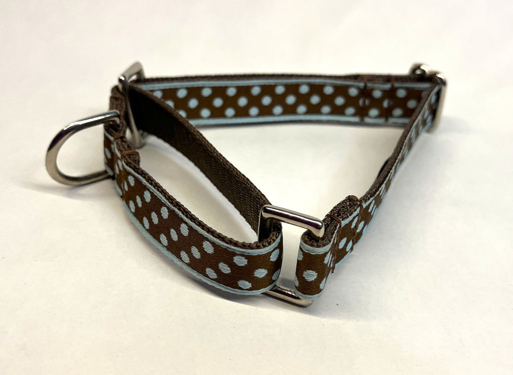 Brown with Light Blue Polka Dots Martingale Collar 3/4
